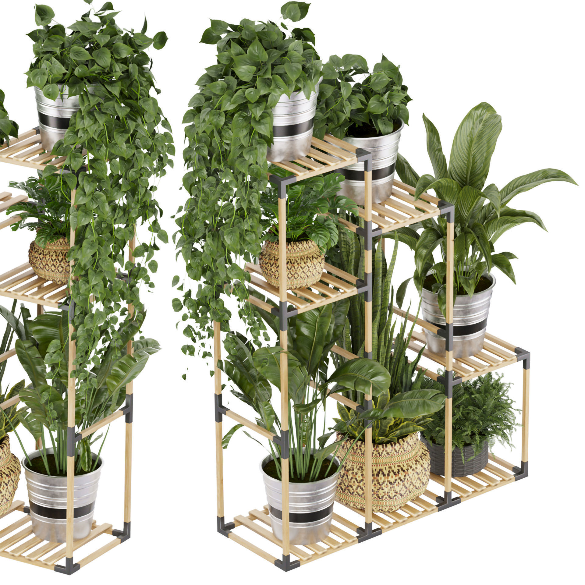 Collection plant vol 498 - stand- pothos 3D model | CGTrader