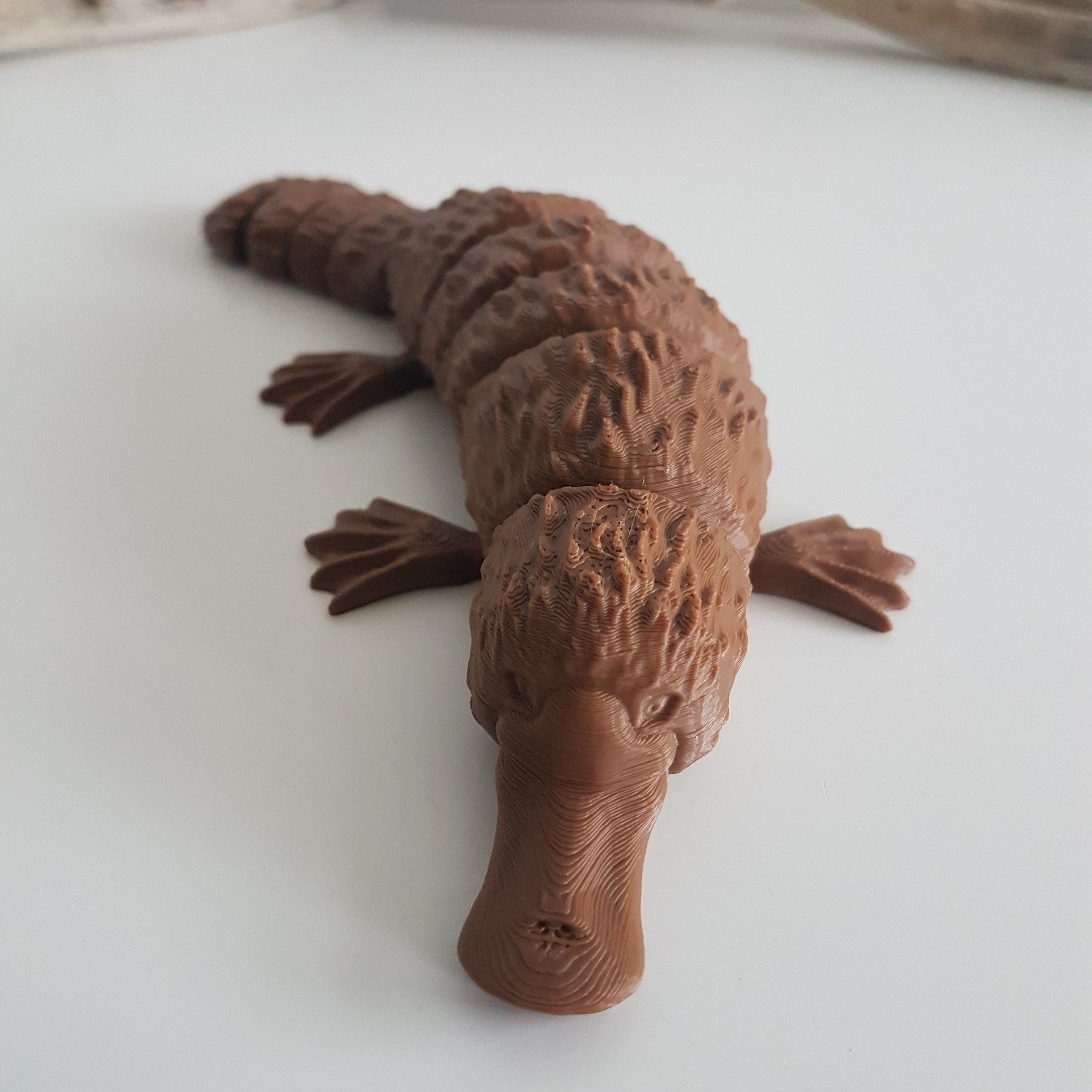 Platypus Flexi 3D model 3D printable | CGTrader