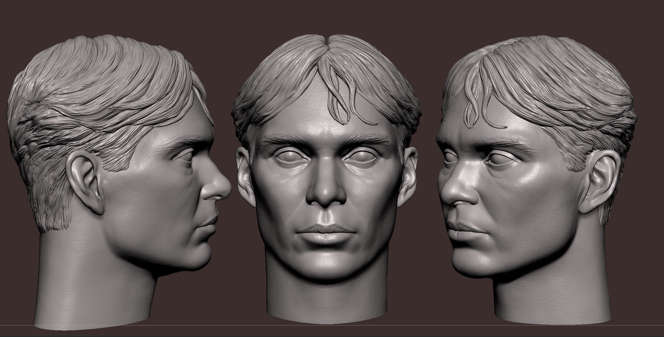 Cillian Murphy Head 3D model 3D printable | CGTrader