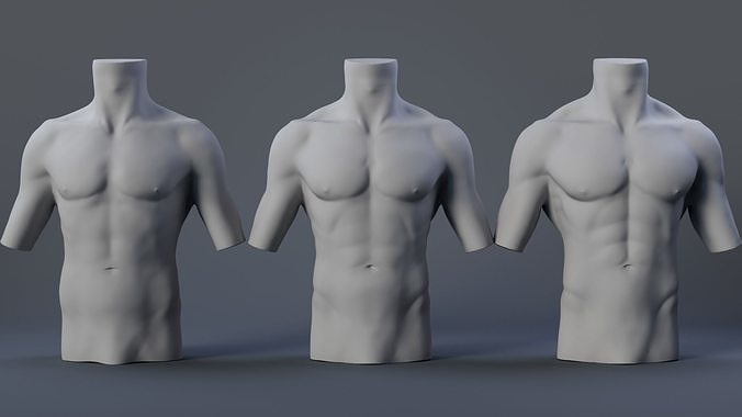 Male Torso 3D model | CGTrader