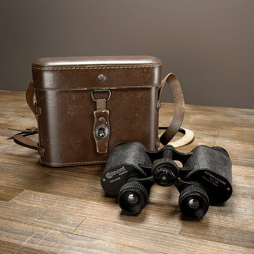 3D model Binocular and Bag VR / AR / lowpoly CGTrader