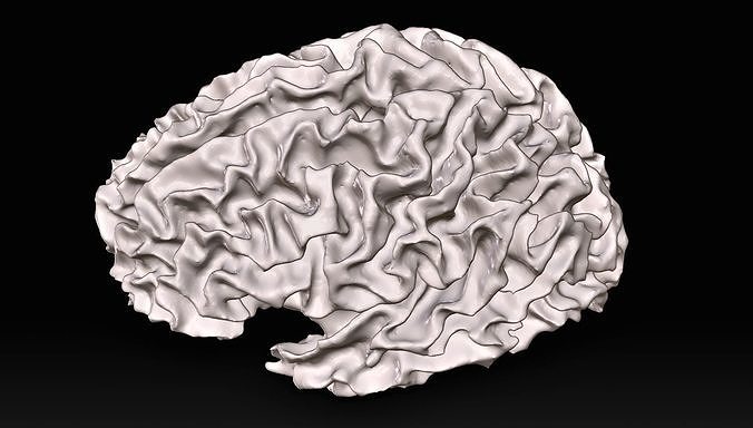 Is Your Brain Made Of Fat The White Matter Revelation - 062cfa1