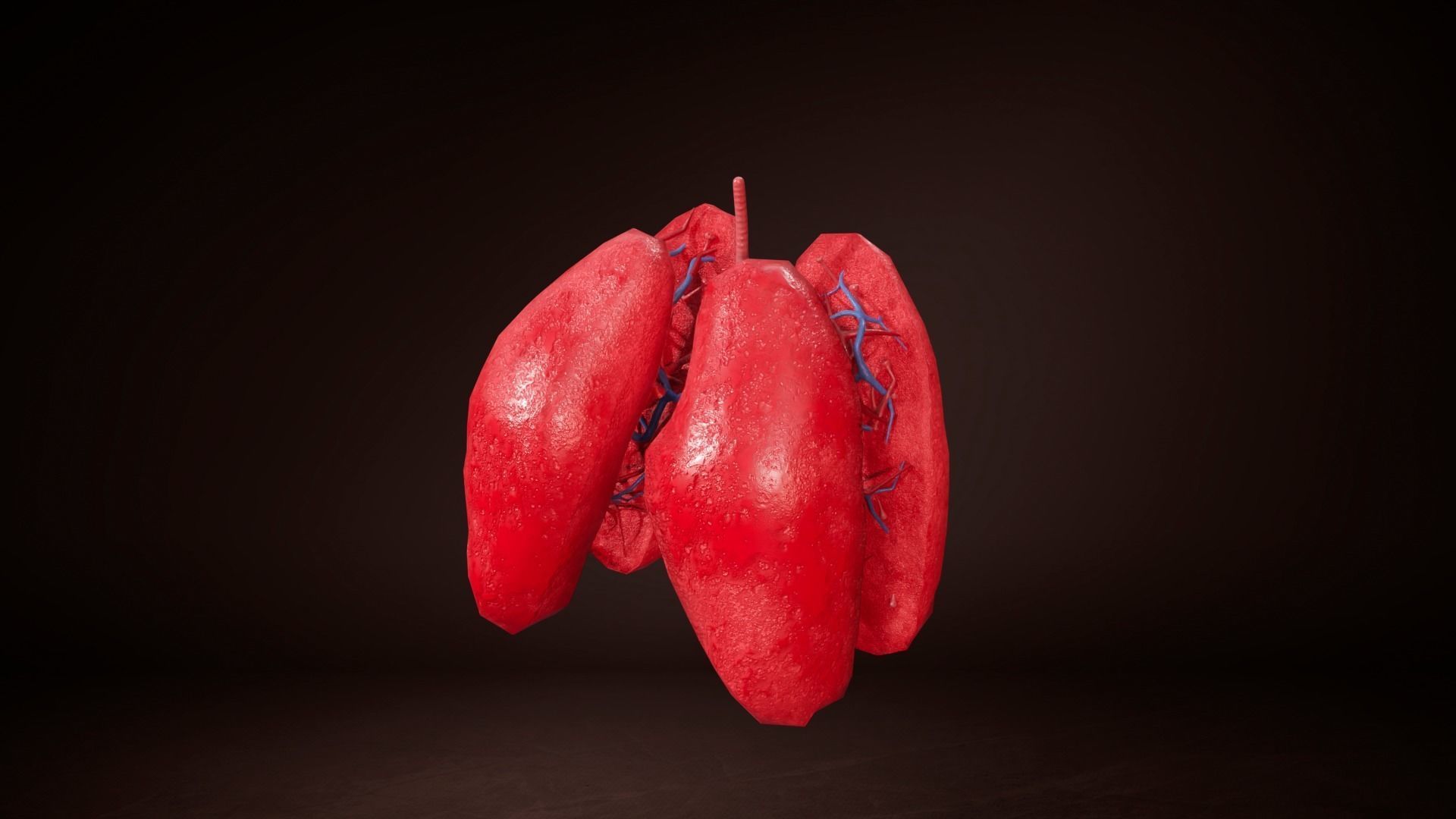 3D model Internal Lung VR / AR / low-poly | CGTrader