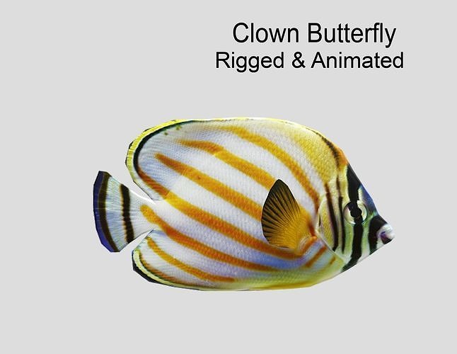 3D model Clown Butterfly Realistic Animated VR / AR / low-poly | CGTrader