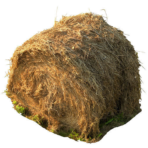 Round bale of hay 3D model | CGTrader