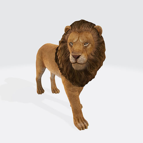 Lion 3D Model Ready to Print 3D model 3D printable | CGTrader