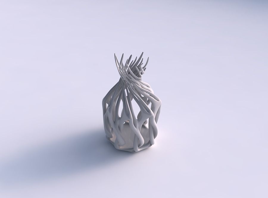 Vase wide mid wth twisted branches streched top