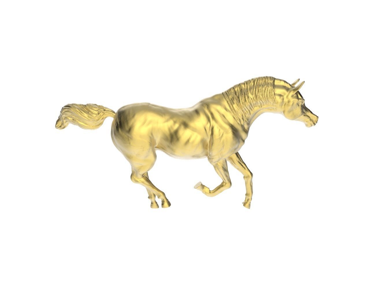 Arabic Horse in galloping position