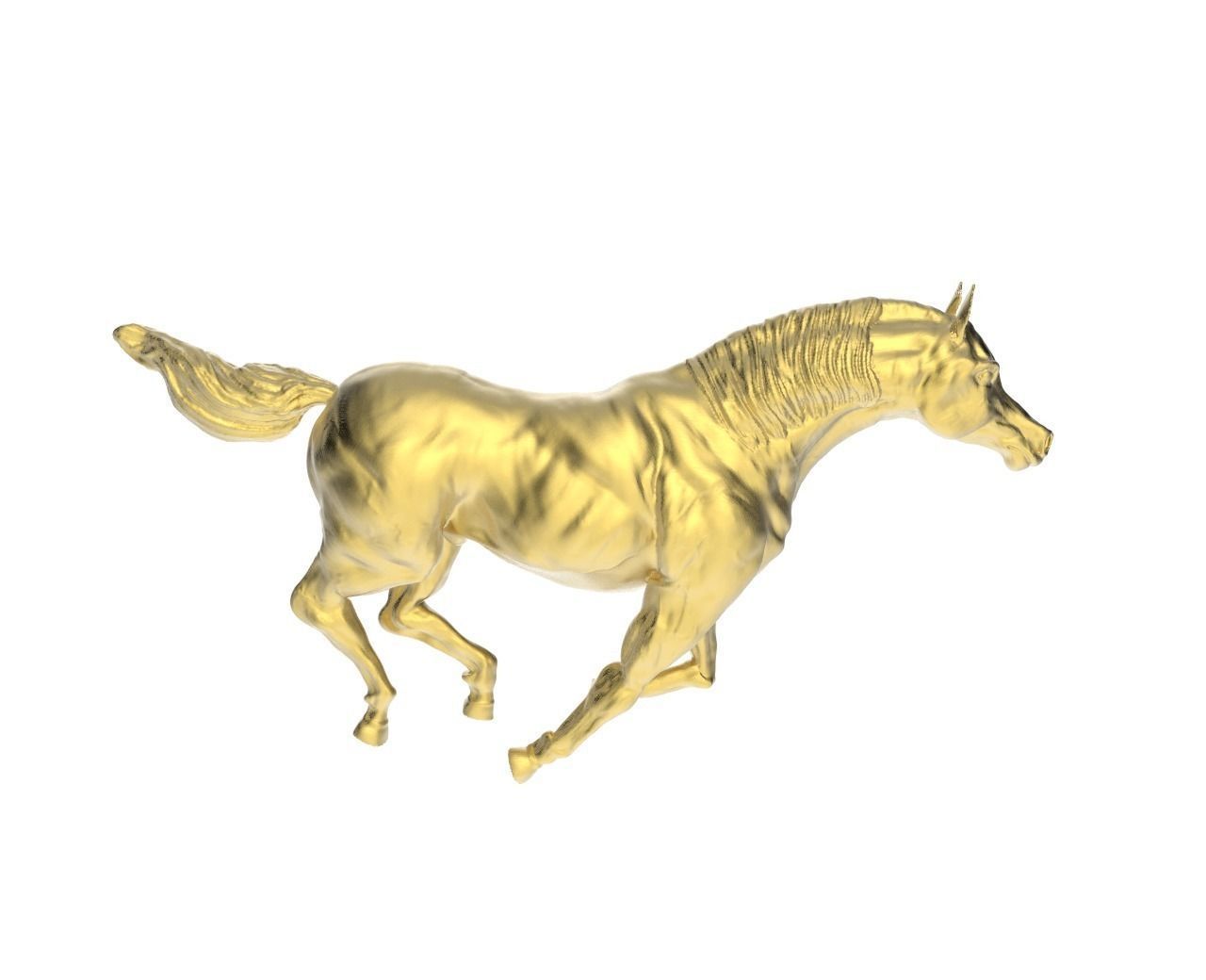 Arabic Horse in galloping position