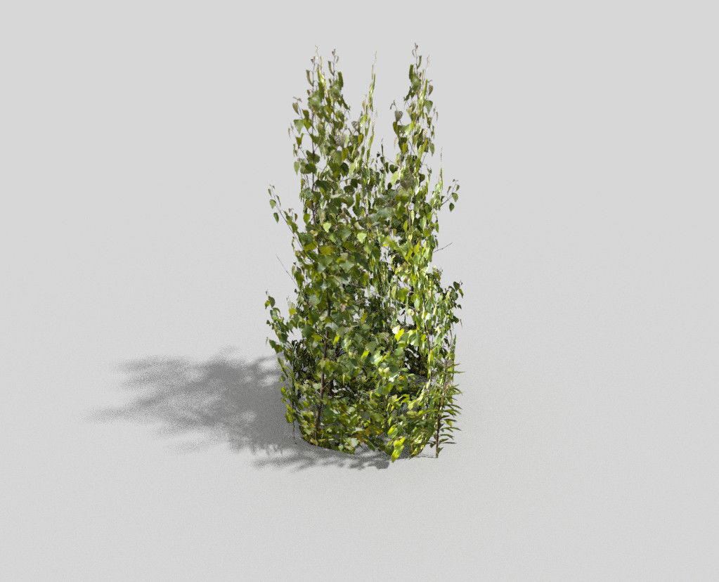 Shrub Low-poly  3D model