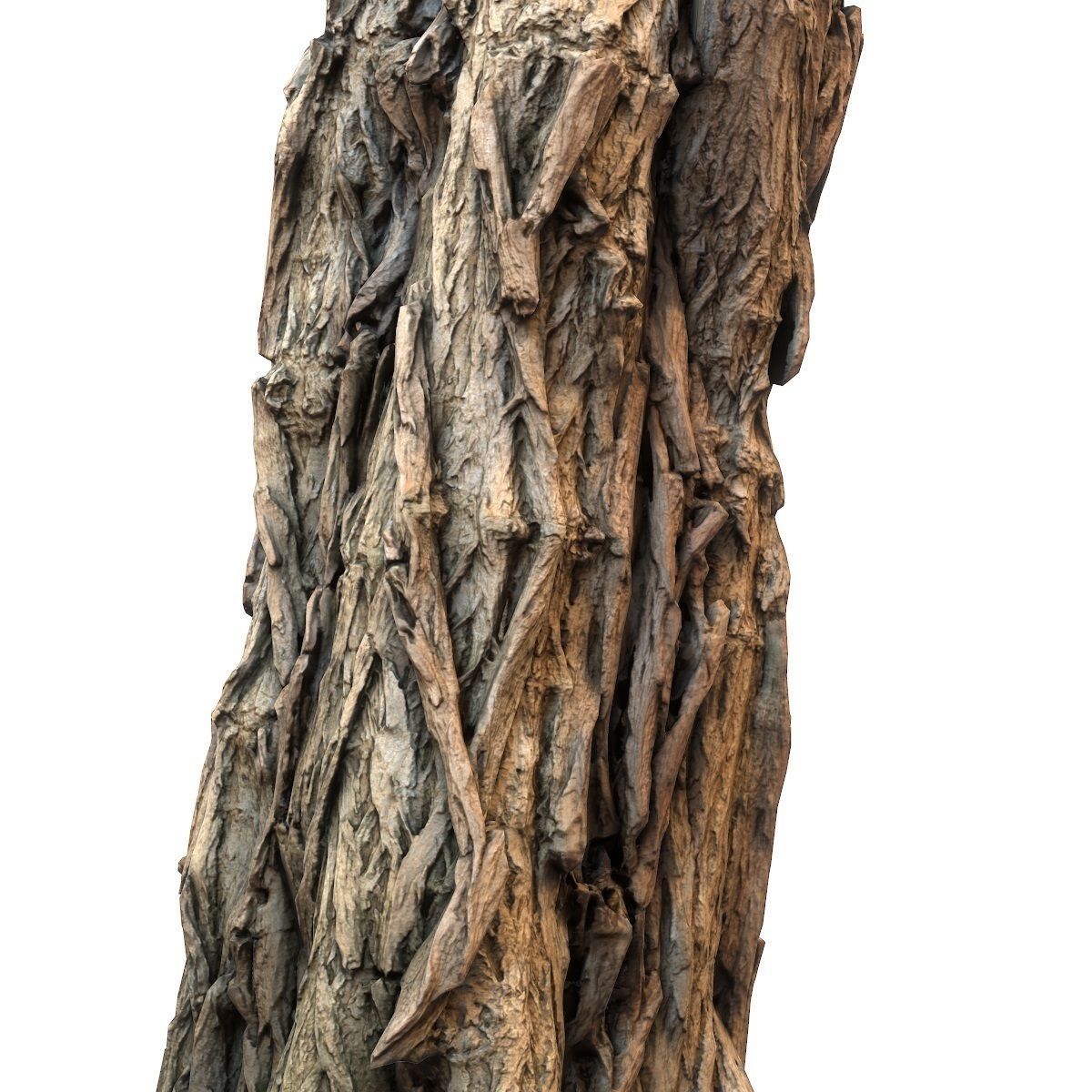 Realistic Detailed Tree Bark