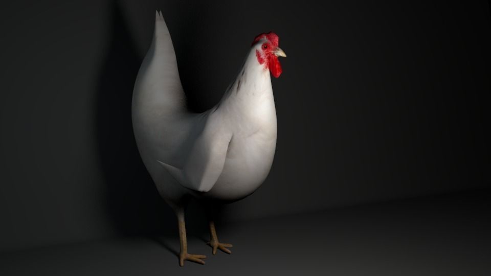 Hen Pigged and Animated Lowpoly Low-poly 3D model