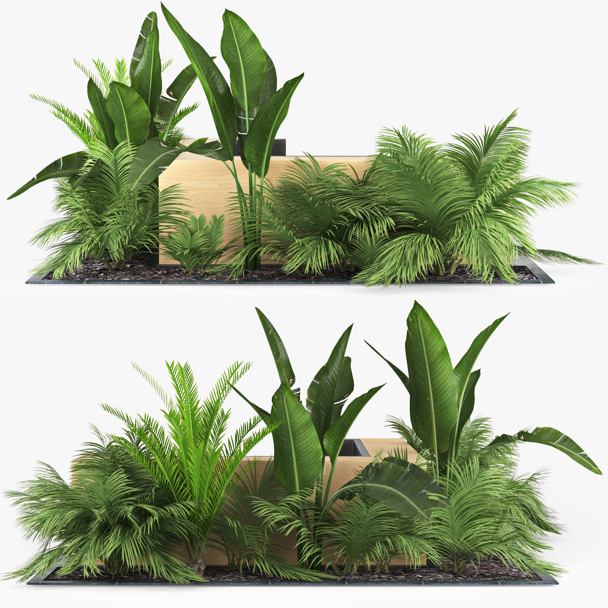 flowerbed palm
