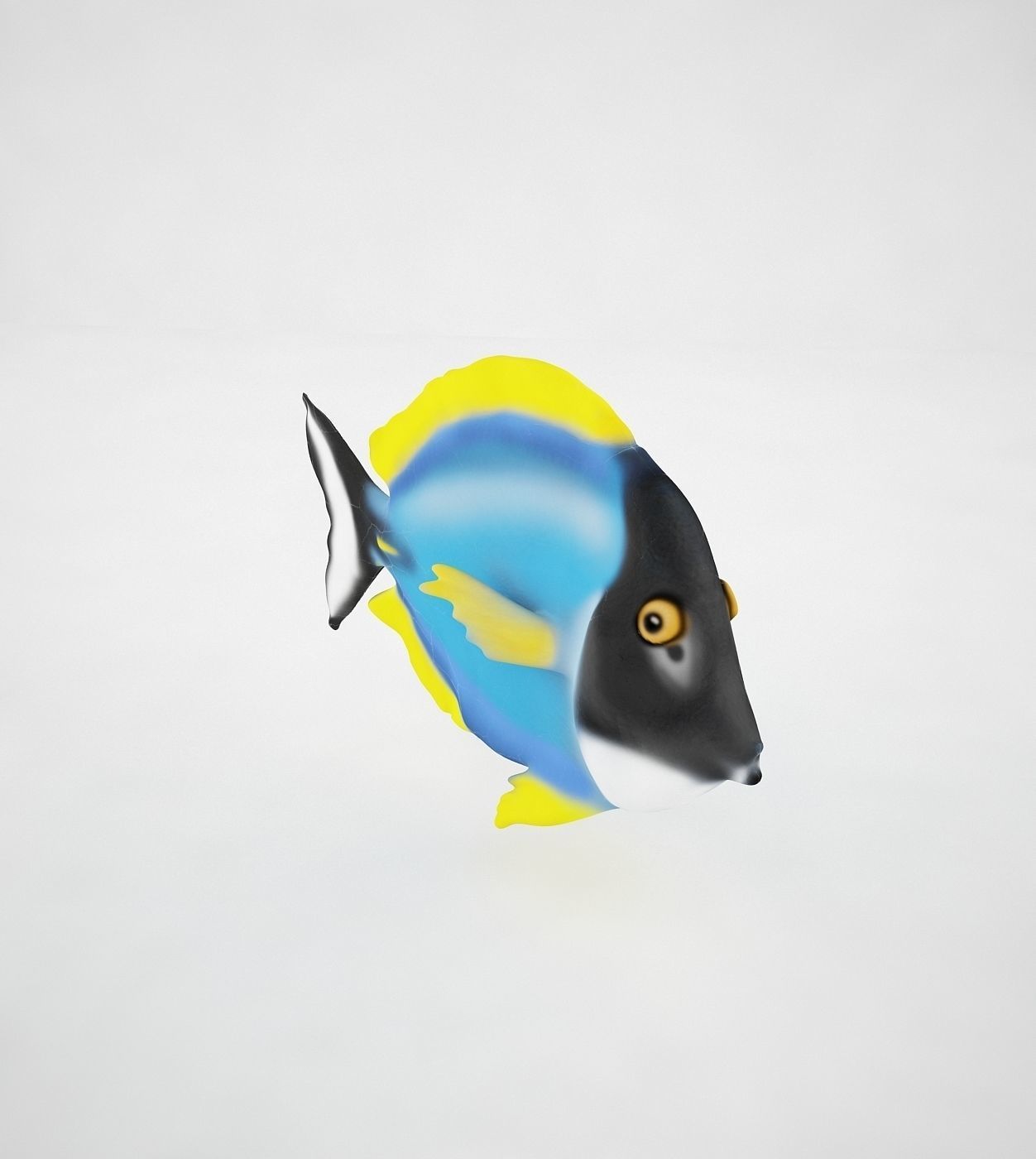 3D model Powder blue tang CGTrader