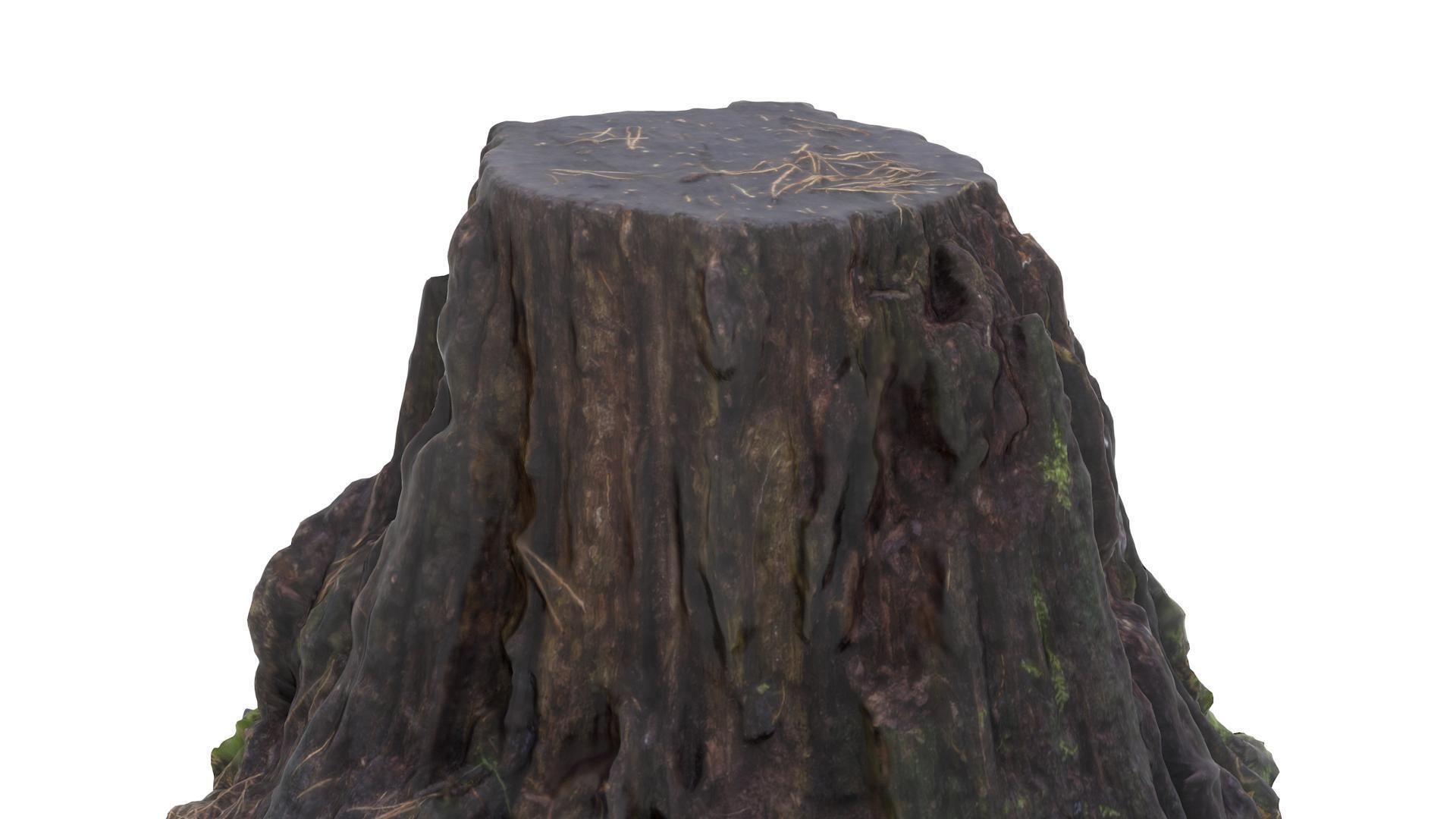 Tree Stump 01 - High and Low Poly versions Low-poly 3D model