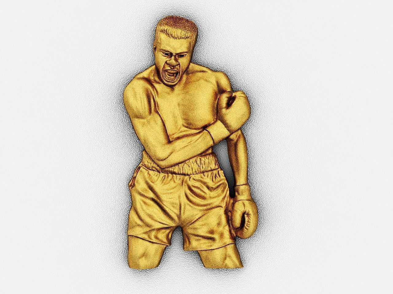 Boxer