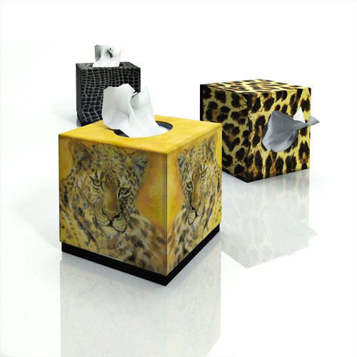 Tissue boxes