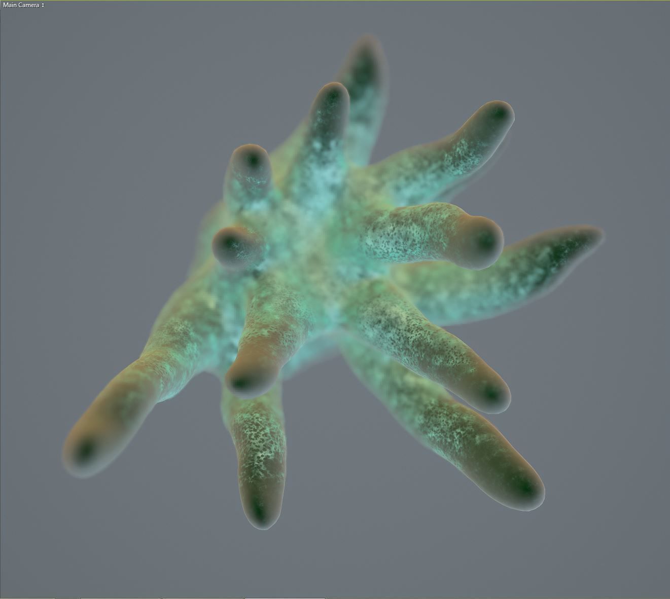 tentacle anemone