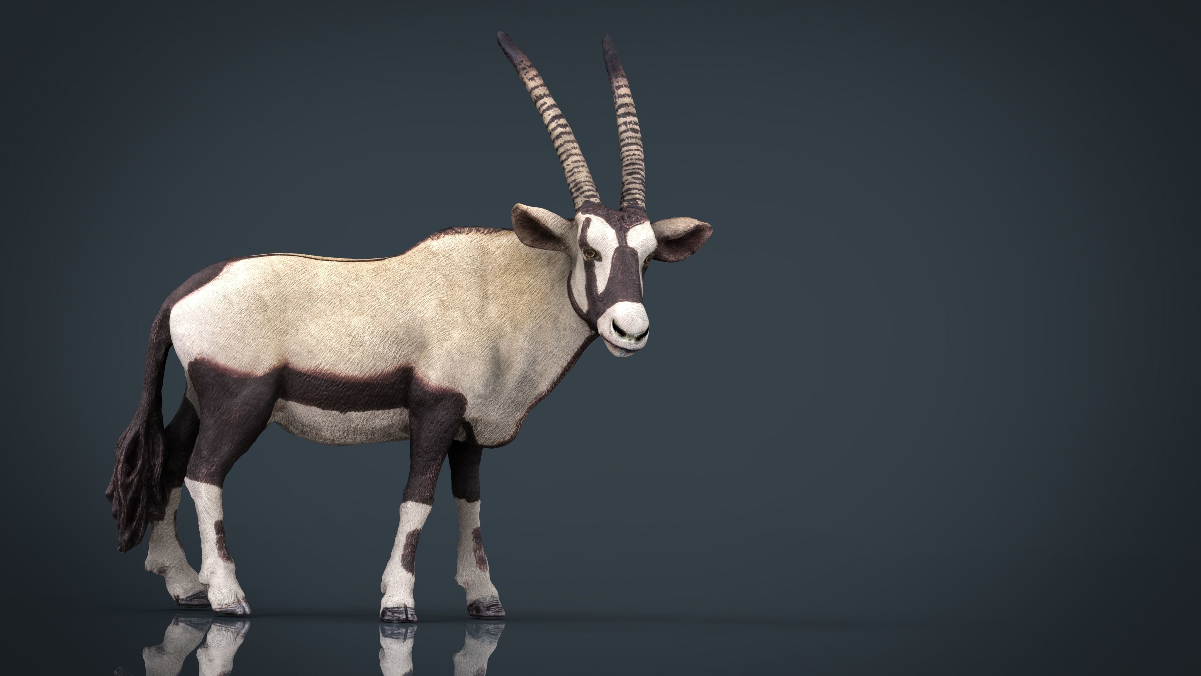 Realistic Oryx