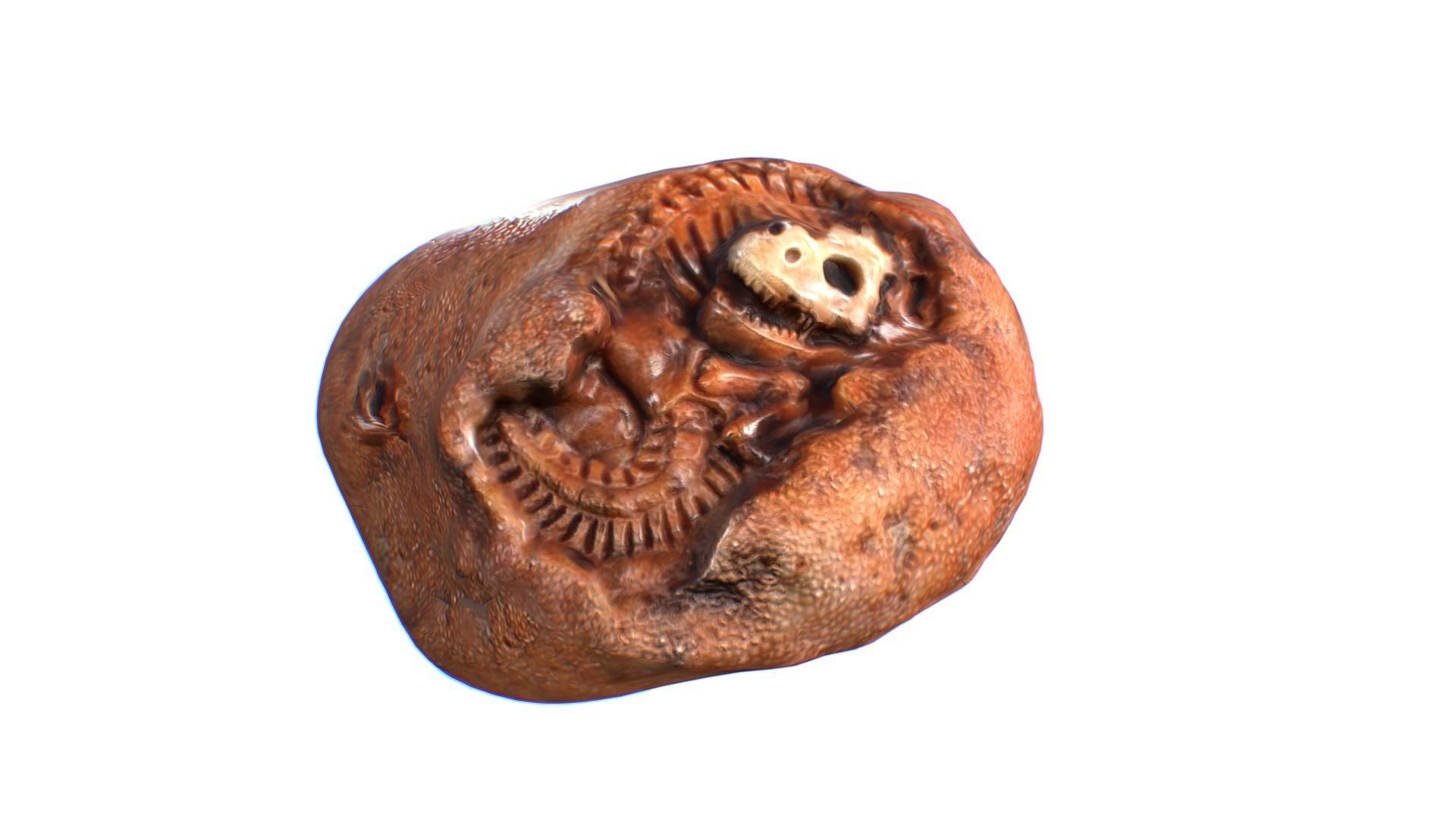 CORAL FOSSIL Carved skull Low-poly 3D model