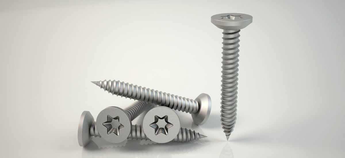 3D Screw Model Buldeks Vida Clear Model