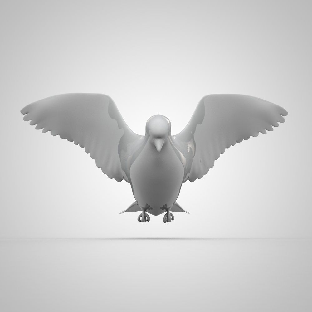 dove1