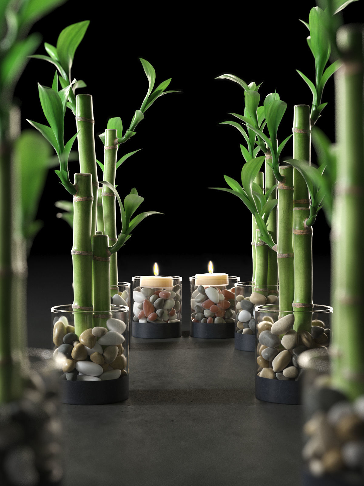 Lucky Bamboo Centerpiece 3D model CGTrader