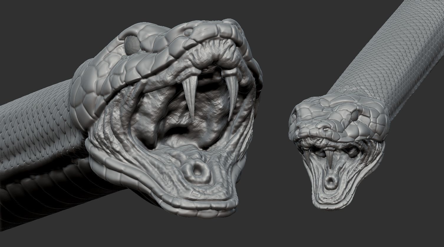 snake