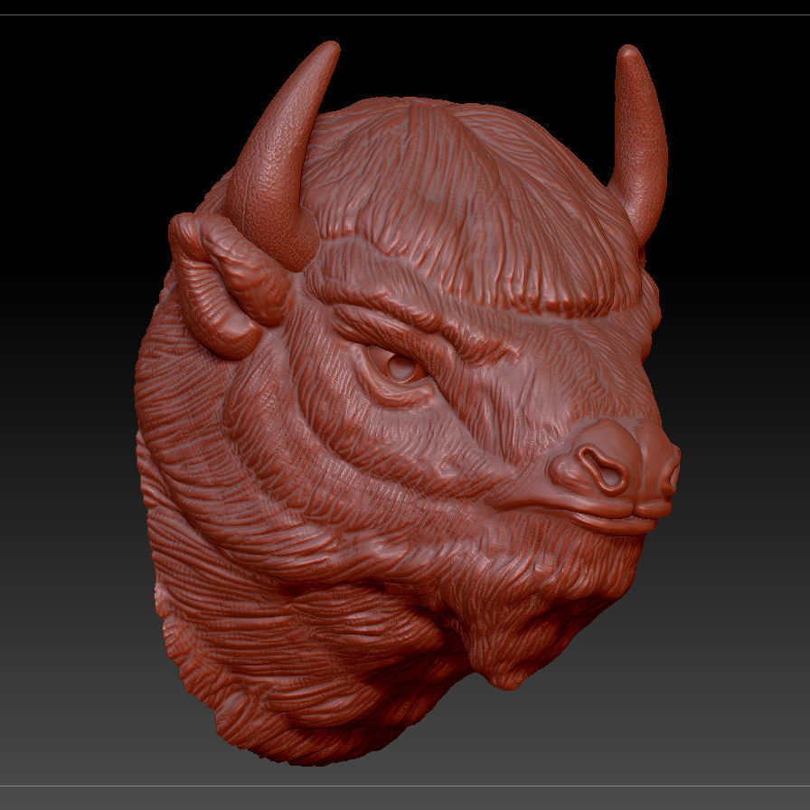 head bison