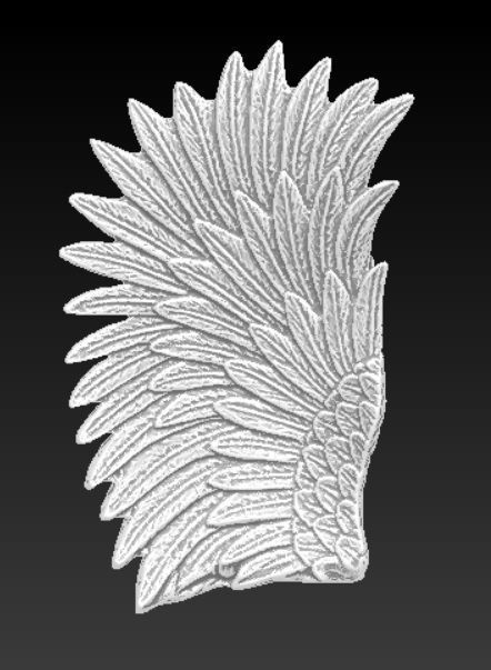 bird angel wing