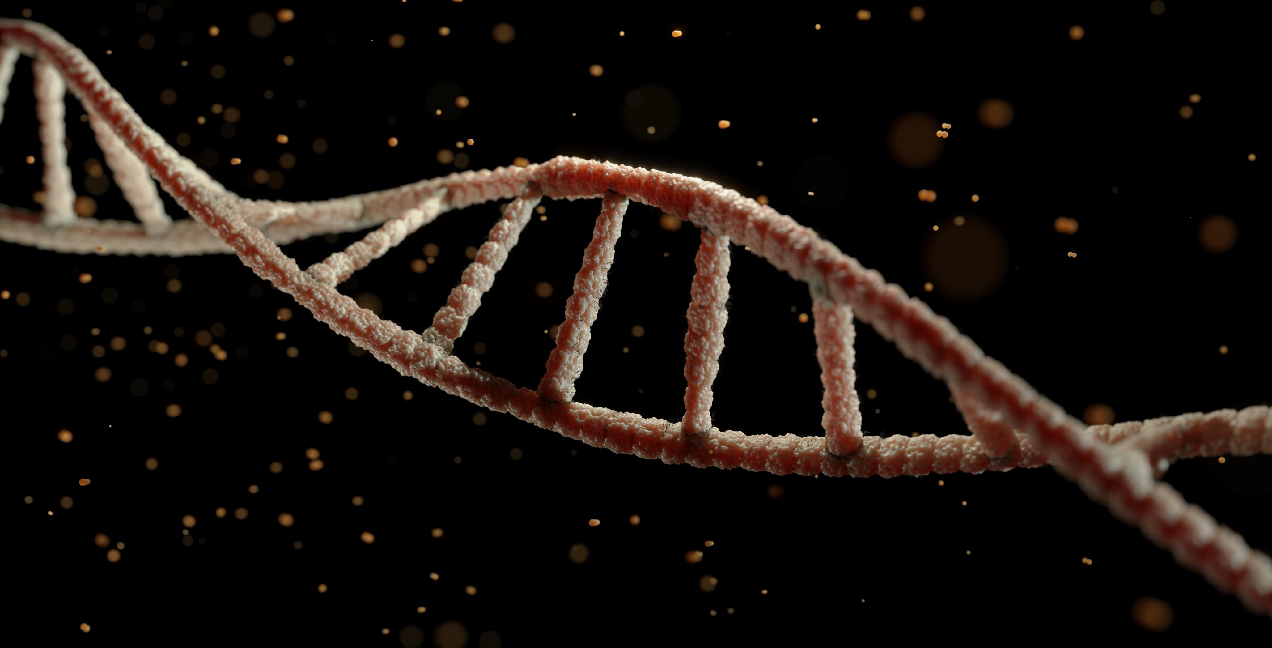 Dna Elic Blender Cycles 3D model CGTrader