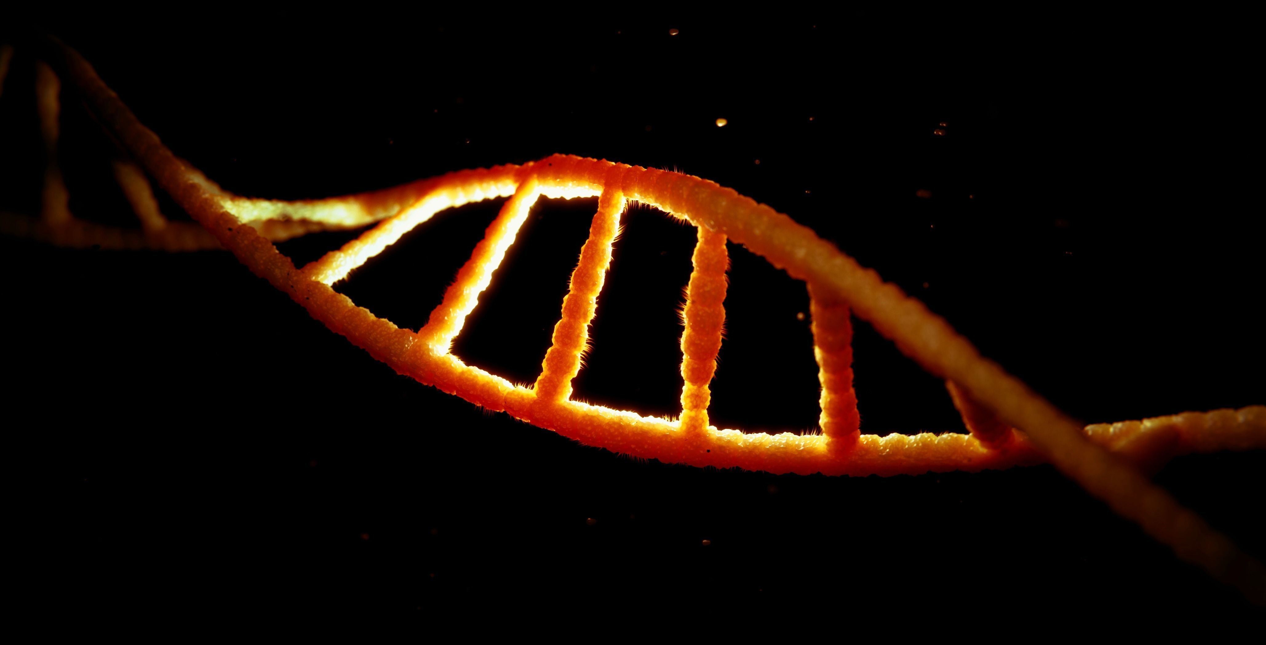 Dna Elic Blender Cycles 3D model CGTrader