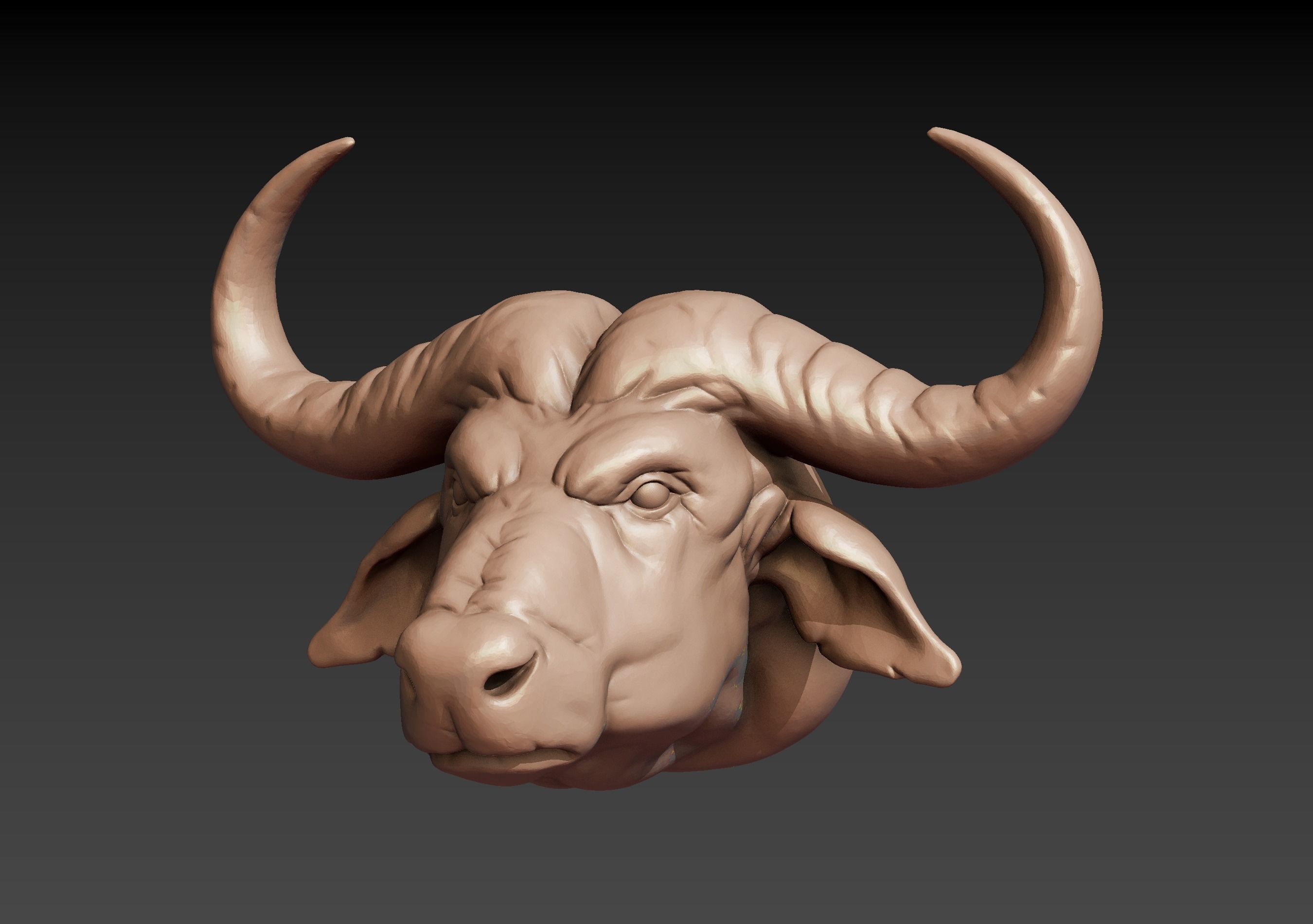 African buffalo head 3D model 3D printable CGTrader