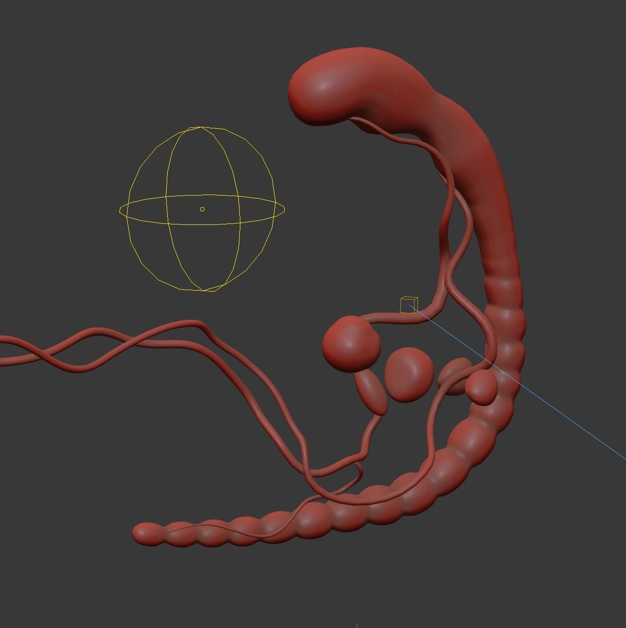 3D model Human embryo fetus with internal organs Animation of ...