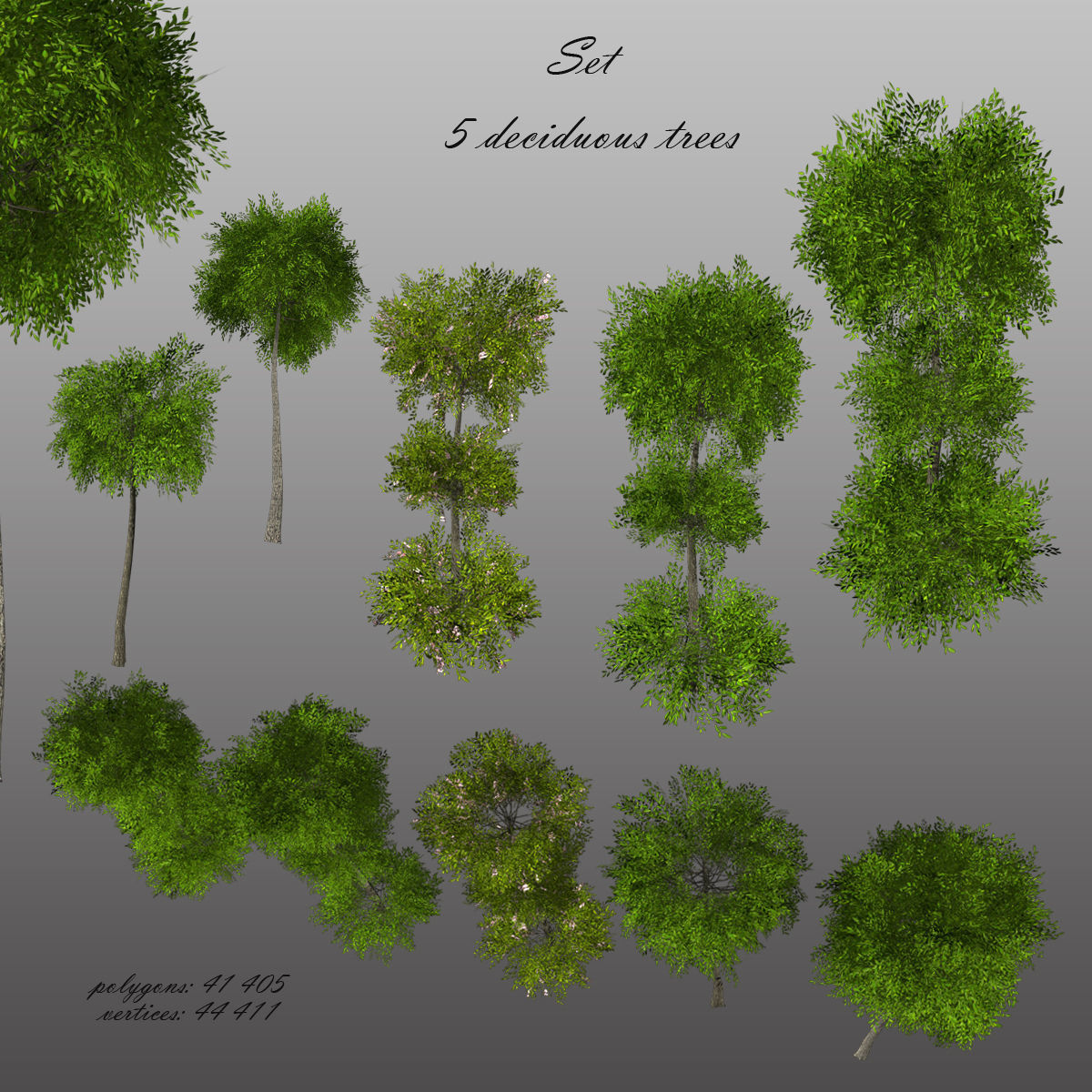 Decorative deciduous tree almonds 3D model Low-poly 3D model