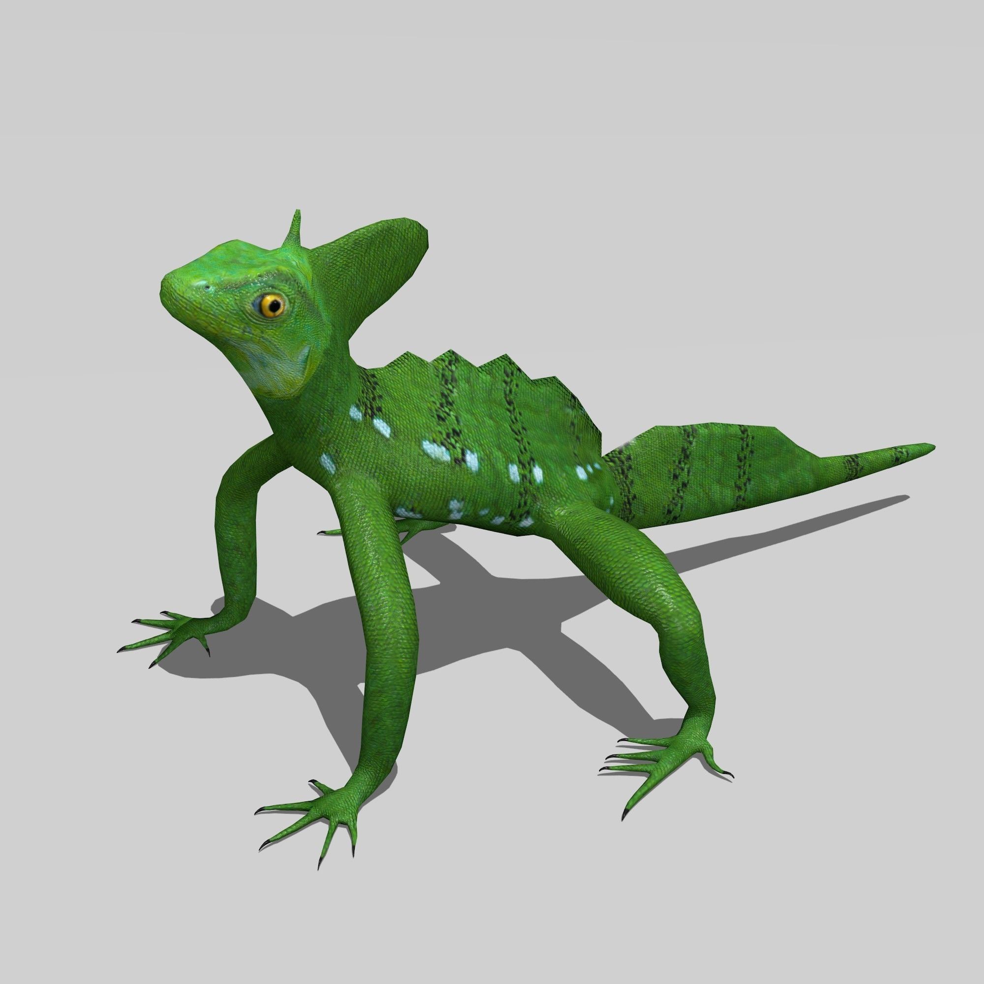 Basilisk lizard 3D model realtime CGTrader