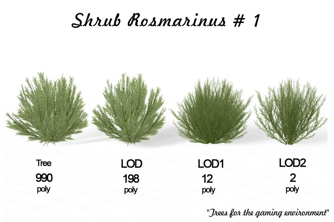 Shrub Rosmarinus 1 Low-poly 3D model
