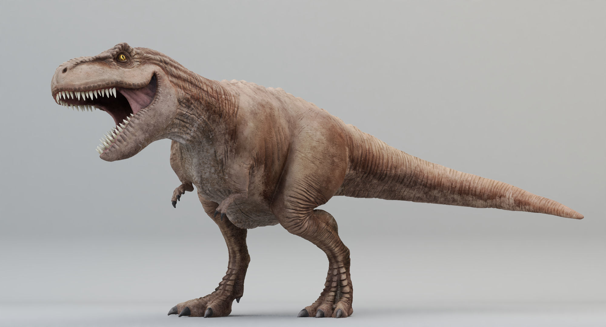 Animated Tyrannosaurus Rex