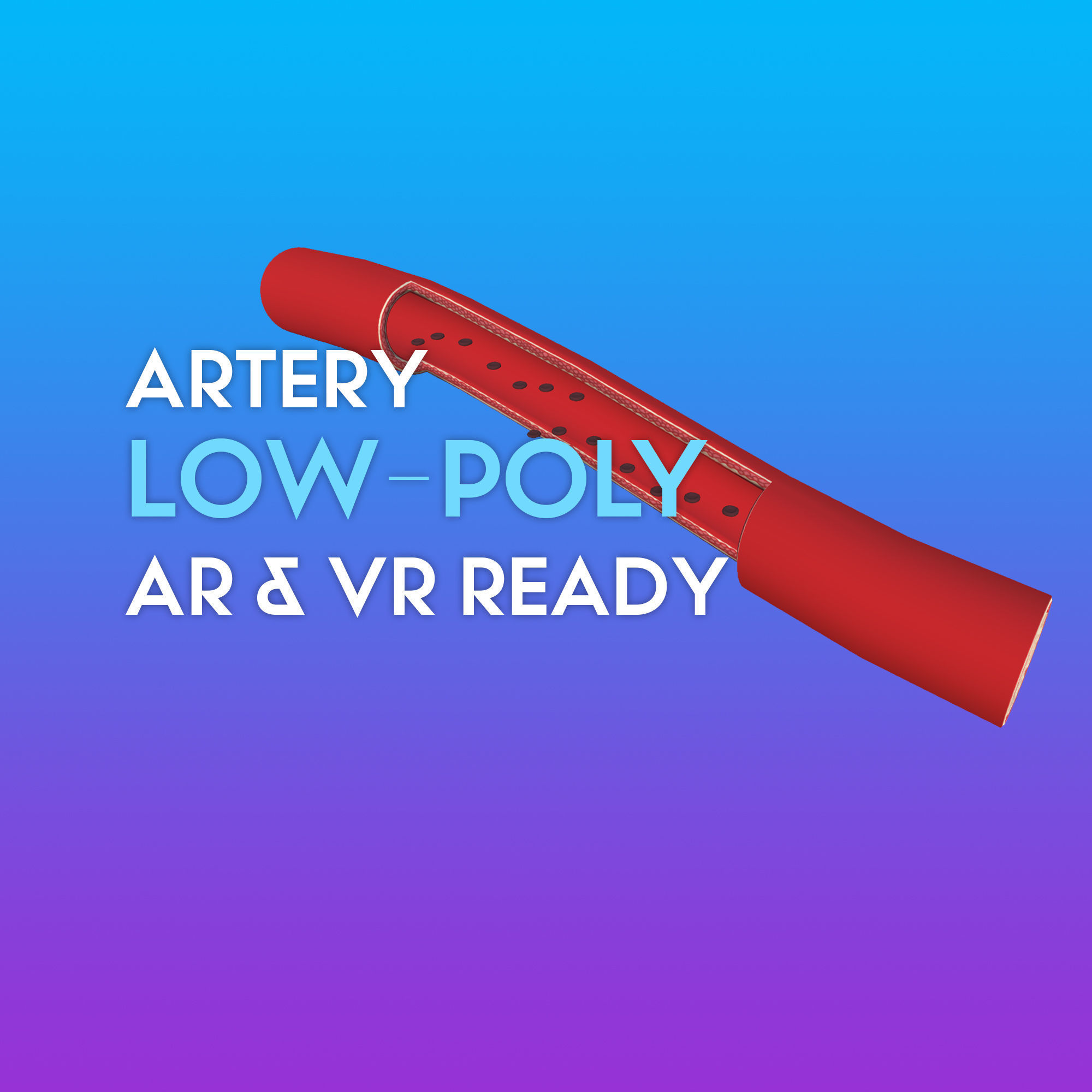 3D Artery W Red Blood Cells Low-poly  3D model