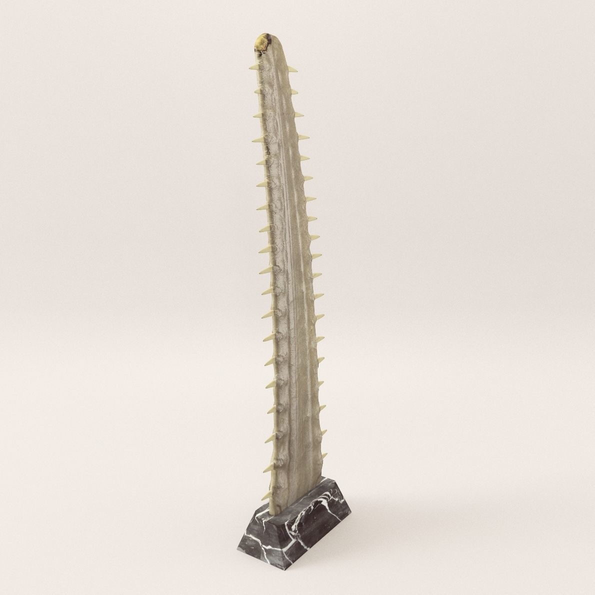 Sculpture Saw fish - Around 1900 3D model