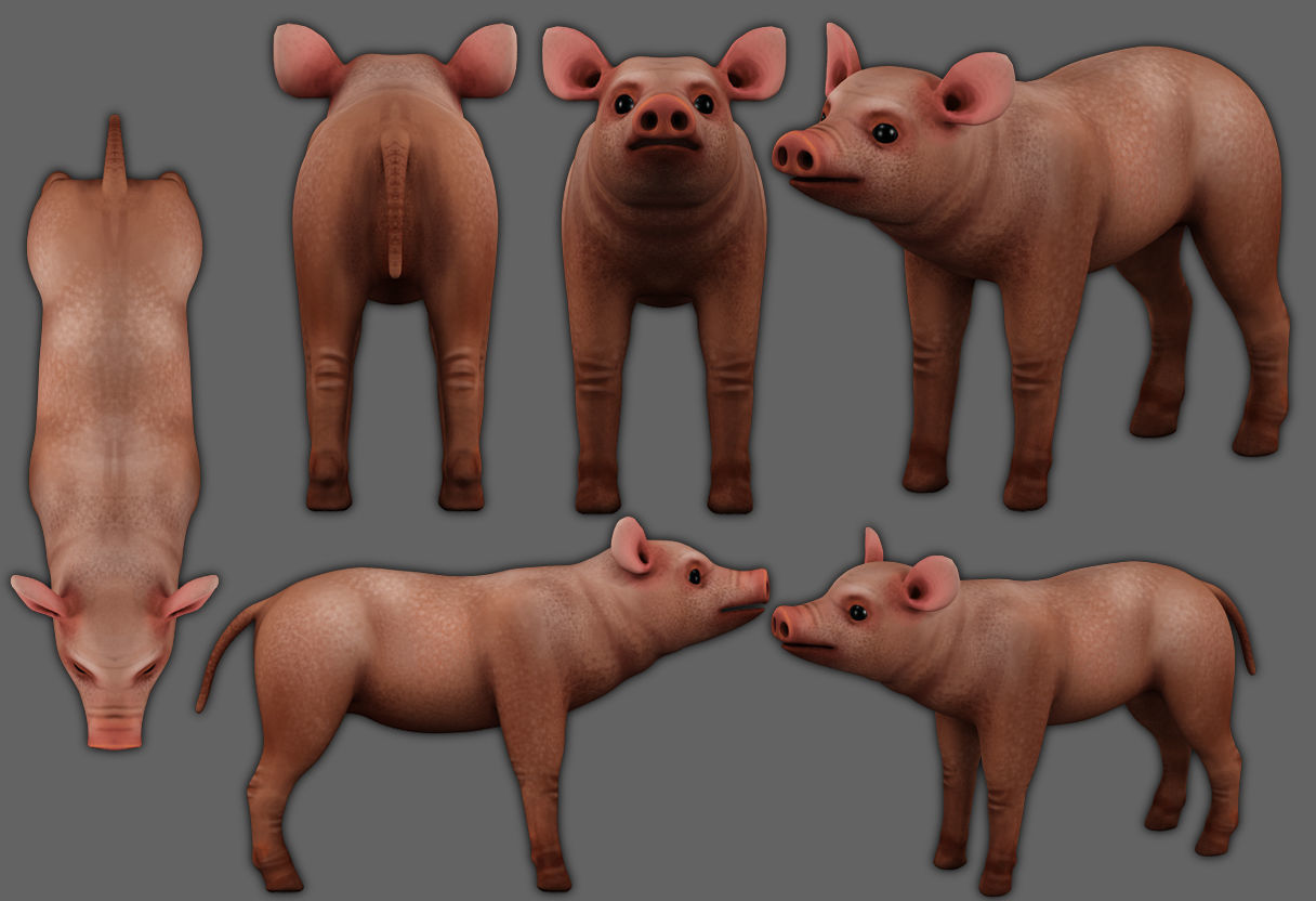 piglet