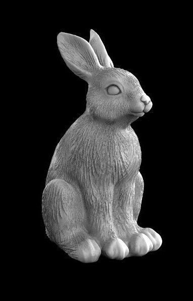 hare rabbit 3d model