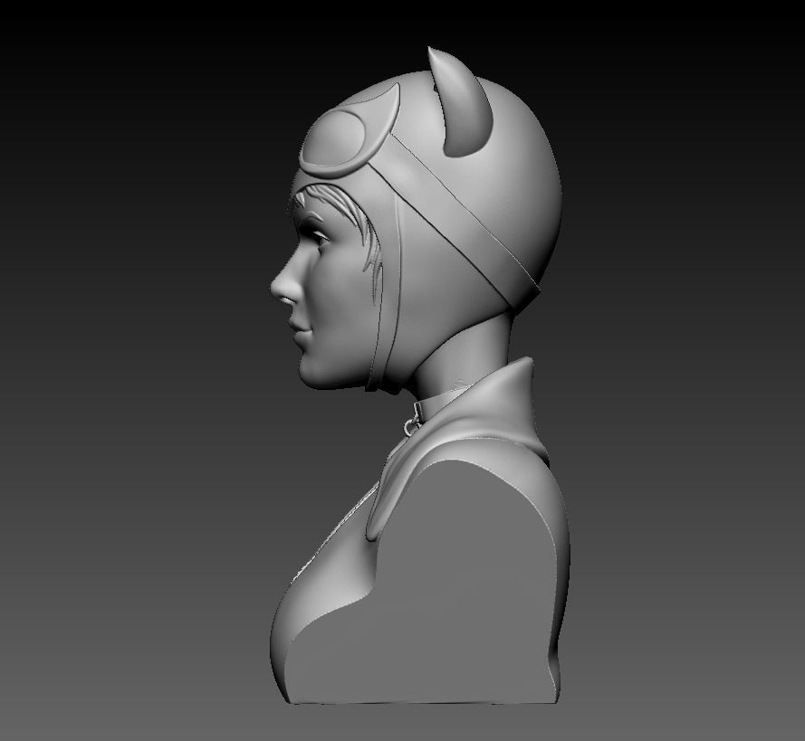 Bust - Catwoman 3D model 3D printable | CGTrader