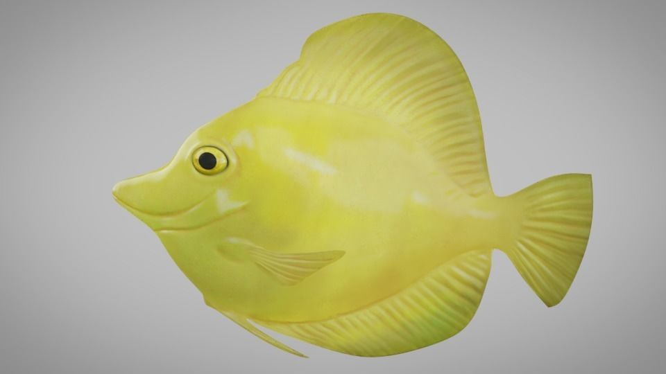 Yellow Tang Fish Low-poly  3D model