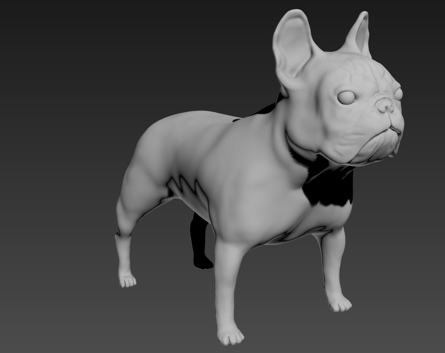French Bulldog