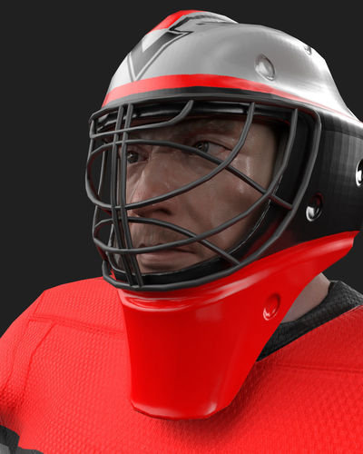 Game ready hockey goalie model
