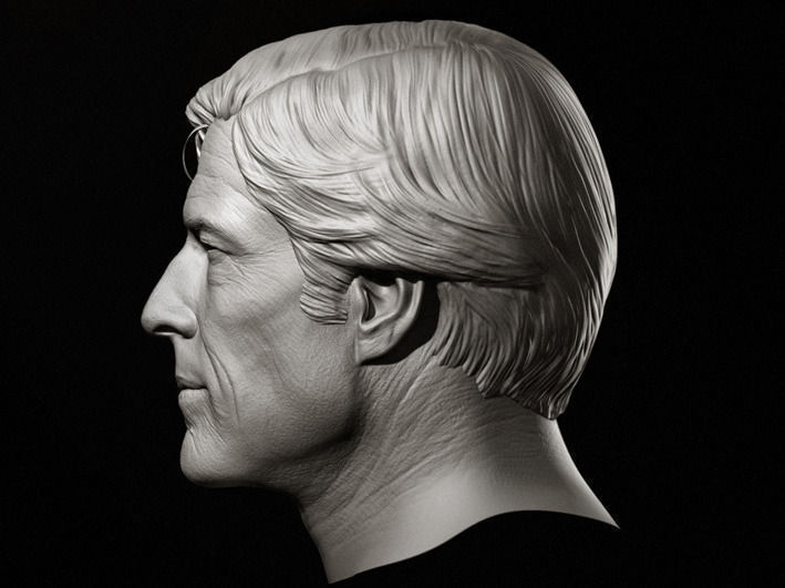 Robert Redford Head Sculpture