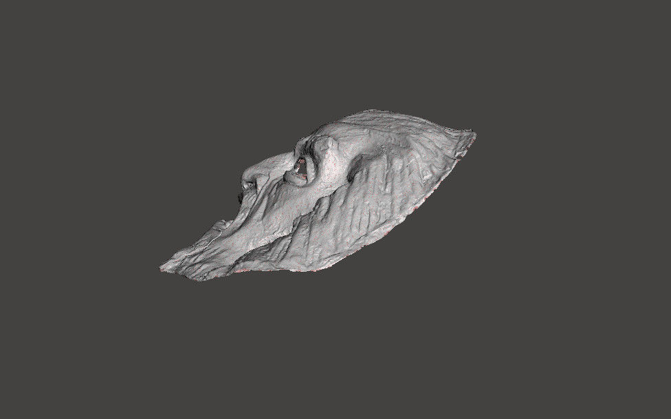 ZARDOZ MASK 3D Model 3D Printable CGTrader