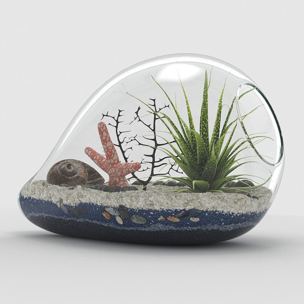 Sea style terrarium 3D CGTrader