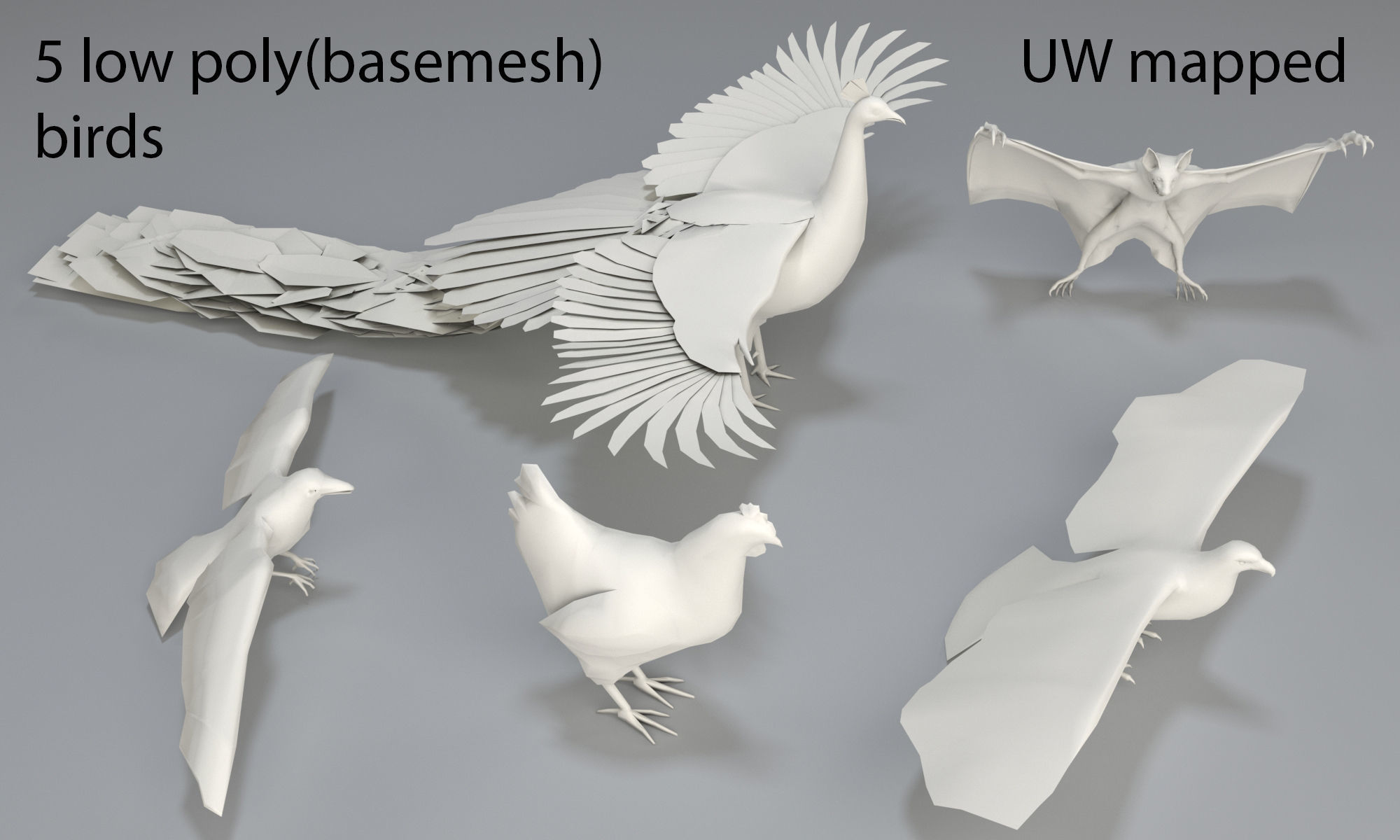 3D asset Birds 5 pieceslow polypart 2 CGTrader